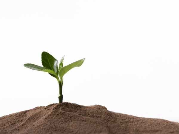 大兴新城西红门规划批复，快来看看吧！