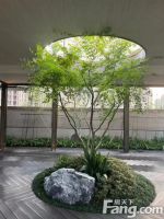 建发·观云有什么惊喜？09月最新动态置业顾问为你精彩演示！