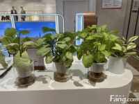 璞瑅润府值得你拥有吗？10月最新动态置业顾问为你全面评估！