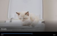 恒洁X知乎 | 恒洁R9智能马桶还能这样玩