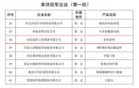 河北晨阳工贸集团获评省级制造业单项冠军企业