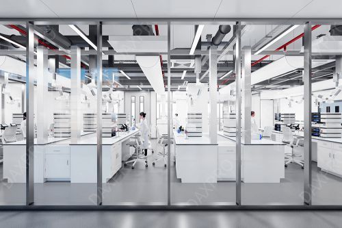 生物实验室建设方案要点解析,确保安全与效率的关键要素