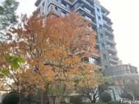 中海甲叁號院的居住体验如何？12月最新动态置业顾问为你分享！