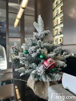 云筑12月最新动态，置业顾问为你揭开神秘面纱！