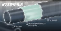 推动能源可持续发展，联塑“减碳卫士”炼成记
