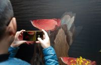 2024中国家居品牌行：探寻POD设计力量，共创美好家居未来