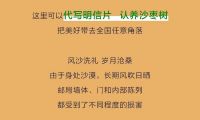 《一个为沙漠“添绿”的故事》正片温暖上线
