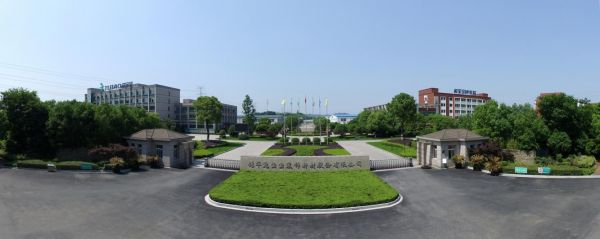 德华集团：连续16年在企业内颁发创新奖，把求新之道刻在骨子里