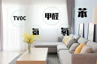 防水涂料品牌“老顽固”:环保守护,缔造绿色家居新篇章