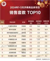 2024年1-3月济南房地产企业销售业绩TOP10