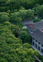 缦合北京——最后的 最珍贵