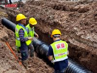 大国工程丨构建绿色生态，联塑为人居环境改善助力添彩