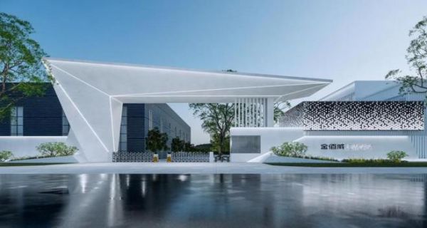 金佰威:以新质生产力为引擎,推动高质量发展