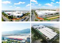 匠心荣耀丨能强瓷砖获评“广东省陶瓷行业百强高价值商标品牌”