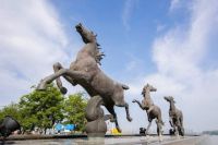 当“薄荷曼波”风吹入燕子矶