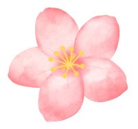 【金诉专栏】花费千万却买到“泡沫房”,业主该如何维权?