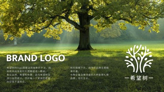 希望树，引领中国除甲醛新潮流