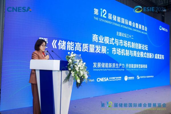 共话“储能高质量发展的市场机制和商业模式”暨研究成果发布