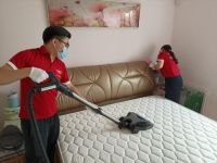 床垫螨虫成群？东宝床垫实力防螨，为健康护航