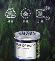 希望树，引领中国除甲醛新潮流