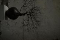 “燕居”美学理念，构建诗性的精神生活样式