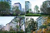 长期主义下的超强兑现力！嘉臣道“卷”出赛道新高度！