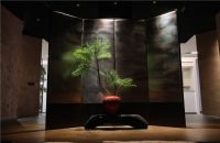 名家汇即将开业，2024年度新潮流样板房对外开放