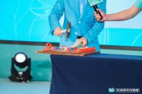 天净荷叶抗菌管：一把砸向污垢管、伪抗菌管的利斧