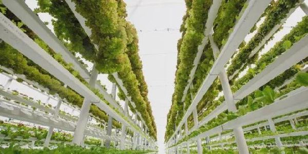 农业产业链布局拓展,联塑管道助力垂直农业产业链完善