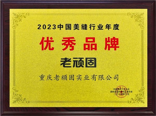 美缝剂品牌:老顽固美缝荣获优秀品牌,销量暴热,引领美缝新潮流