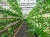 农业产业链布局拓展，联塑管道助力垂直农业产业链完善