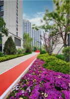 四环+名校+高标准住宅 这个项目一站式解决改善置业痛点