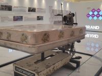 龙凤：民族魂、中华情