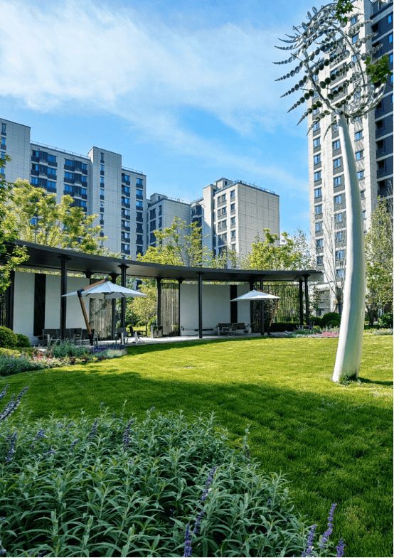 经历这轮楼市震荡 谁才是能穿越周期的“六边形战士”？