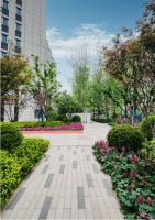 经历这轮楼市震荡 谁才是能穿越周期的“六边形战士”？