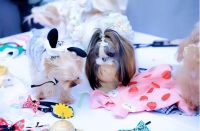 萌宠云集！五月的玉林东路可爱值“爆表”