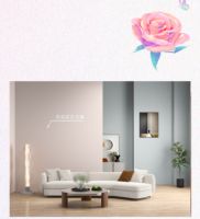 原来爱不只有520，还有527！