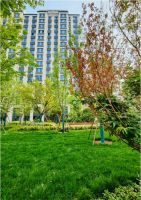 既要“面子”还要“里子” 新房市场卷出新高度