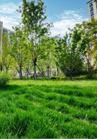 既要“面子”还要“里子” 新房市场卷出新高度