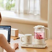 营养加倍，口感升级！小熊电器小气泡养生壶满足花式养生