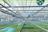 世界环境日丨守护蓝色星球，联塑在行动！