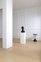 富得利2024原木框架系列进阶上市！“法式”、“自然”如何拿捏流量密码？