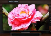 智慧家居的核心驱动力：三星AI电视拓宽生活的无限可能