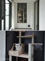 全友家居干货丨养宠住宅装修经验总结，年轻人都赞了！