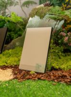 “生生不息”新品发布会访谈|兔宝宝赵建锋：所有跃迁与创新， 皆以守护美好人居为底色