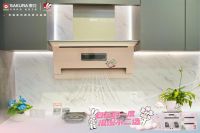 浪漫无界 | SAKURA 樱花 X 不二兔108封最「家」情书共绘美好生活