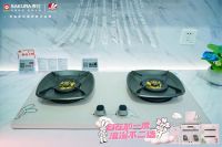 浪漫无界 | SAKURA 樱花 X 不二兔108封最「家」情书共绘美好生活