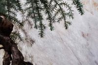 重磅荣誉｜东鹏荣获2023年度建筑材料科学技术进步奖二等奖