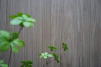 重磅荣誉｜东鹏荣获2023年度建筑材料科学技术进步奖二等奖