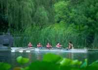 格拉斯深度诠释公园社区  打造理想人居体验